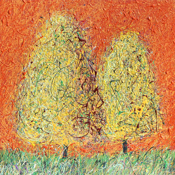 Peter Stolvoort - Ancient Trees Series